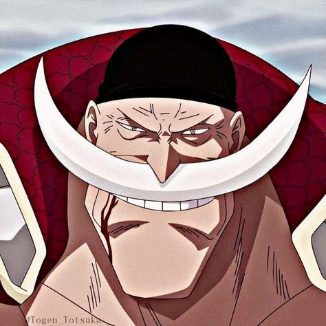 Icon do belíssimo Barba branca no arco de Marineford One Piece Barba Branca, Whitebeard Icon, White Beard One Piece, Barba Blanca One Piece, Barba Branca One Piece, Beard Stickers, Beard Drawing, Edward Newgate, One Piece Ep