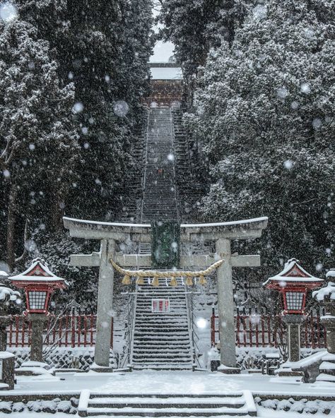 Visit Japan: Stairway to heaven? An amazing view of Matsushima Bay awaits those who climb up... https://www.alojapan.com/433420/visit-japan-stairway-to-heaven-an-amazing-view-of-matsushima-bay-awaits-those-who-climb-up/ #Visitjapan, #JapaneseShrine, #Japanwinter, #ShiogamaShrine, #Tradition, #VisitJapan, #VisitJapanAU Matsushima Bay, Miyagi Prefecture, Japan Winter, Japanese Shrine, Stone Steps, Rough Seas, Miyagi, Visit Japan, Stairway To Heaven