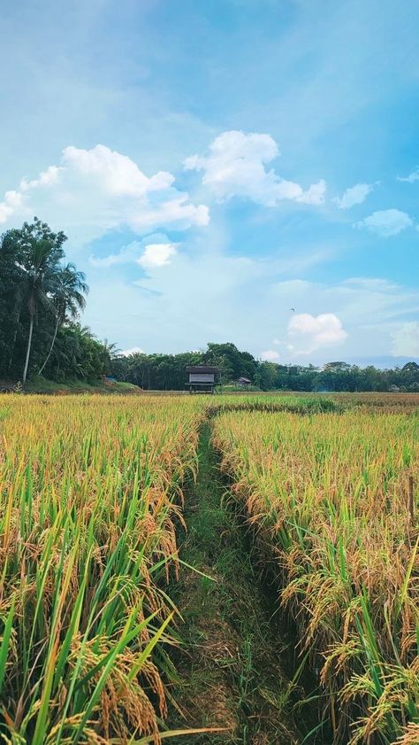 Province Life Philippines, Philippines Province, Philippines Scenery, Province Life, Korean Photoshoot, World Most Beautiful Place, Modern Small House Design, Nature Hd, Dslr Background