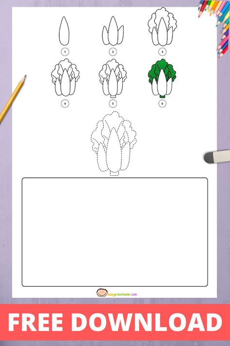 Use this free printable to teach kids how to draw a lettuce in six easy steps. Easy Drawings For Kids, Basic Drawing, Teach Kids, Step Drawing, Learn How To Draw, Easy Drawing, Step By Step Drawing, Printables Kids, Learn To Draw