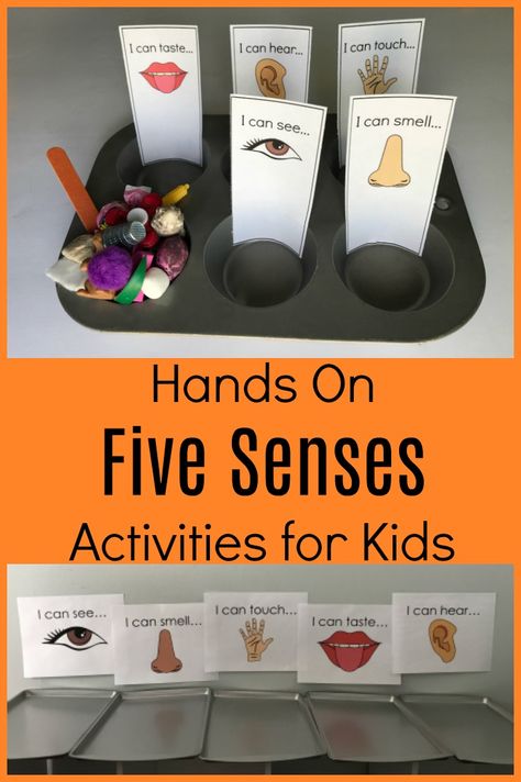 Come play and explore ALL 5 Senses with your own #preschoolers this summer! Free printable and suggestions for use are on the blog today. #preschooltoolbox #preK #parents #homepreschool #preschoolathome #childcareteacher via @pschooltoolbox Senses Activities For Kids, Preschool Sorting, Five Senses Activities, 5 Senses Preschool, Five Senses Preschool, 5 Senses Activities, Senses Preschool, My Five Senses, Senses Activities