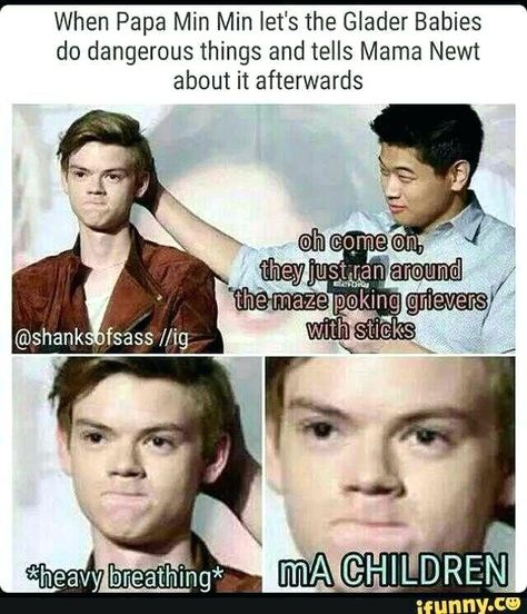 Maze Runner Thomas, Maze Runner Trilogy, Maze Runner Funny, Maze Runner Imagines, Maze Runner Cast, Maze Runner Movie, Newt Maze Runner, Maze Runner Series, Thomas Sangster