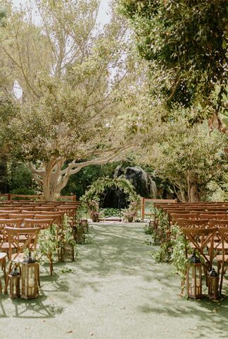 Botanica | Reception Venues - The Knot Forest Canopy, Wedding Info, Breathtaking Wedding, Wedding Board, Reception Venues, Tropical Plants, The Knot, Fresh Air, View Photos