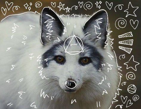 Marble Fox Therian, Therian Room, Therian Wallpaper, Fox Therian, Therian Gear, Therian Pfp, Therian Stuff, Maybe In Another Life, In Another Life