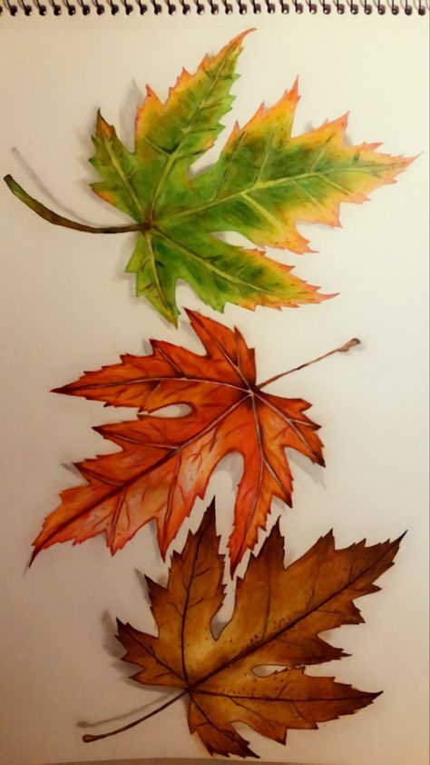 Fall Leaves Colored Pencil, Leaves Drawing Colored Pencil, Pencil Colour Leaf Drawing, Colourful Leaves Painting, Fall Color Pencil Drawings, Paintings Of Fall Leaves, Drawing Ideas With Pencil Colours, Autumn Pictures Art, Autumn Drawing Pencil