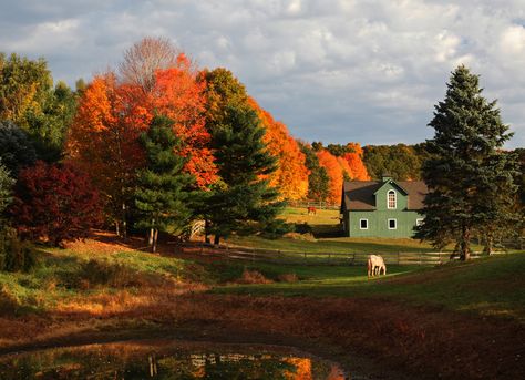 Fall In Connecticut, Fall Feels, World Photography, Best Seasons, Autumn Cozy, Autumn Aesthetic, Nature Aesthetic, Pretty Places, Fall Foliage