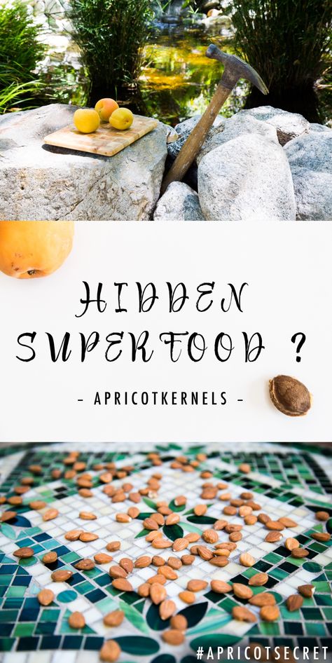 Ever busted open an apricot pit to find a hidden health food inside? Discover Apricot kernels! #superfood #healthy #realfood #healthfood Apricot Tree, Apricot Seeds, Altitude Sickness, Dr Sebi, Childhood Home, Juicing For Health, Apricot Kernels, Summer Treats, My Childhood