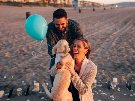 Dog Proposal Ideas, Adorable Relationships, Puppy Proposal, Beach Proposals, Dog Proposal, Surprise Proposal Pictures, Dream Proposal, Proposal Pictures, Best Wedding Proposals