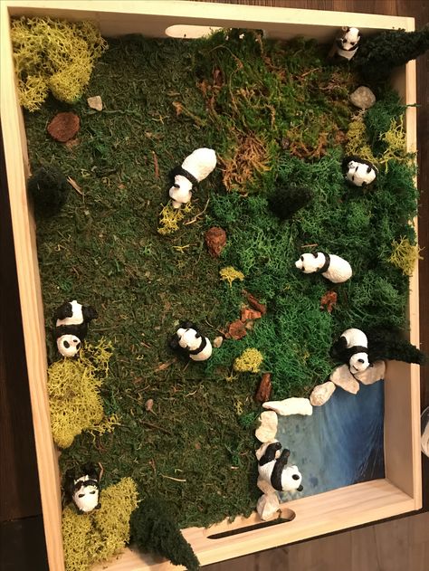 panda habitat diorama Panda Diorama, Bear Enclosure, Habitat Diorama, Habitat Project, Panda Habitat, Diorama Kids, Panda 3d, Habitats Projects, Craft Area