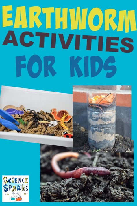 Earthworm Preschool Activities, Earthworms For Kids, Earthworm Activities For Kids, Worm Preschool Activities, Invertebrates Activities For Kids, Worm Activities For Kids, Worm Activities For Preschool, Superworm Activities, Worm Activities