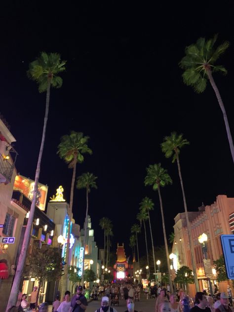 Universal Studios Orlando At Night, Theme Parks Aesthetic, Florida Night Aesthetic, Universal Studios Orlando Aesthetic, Orlando At Night, Orlando Florida Aesthetic, Orlando Aesthetic, Orlando Disney World, Orlando Florida Universal Studios