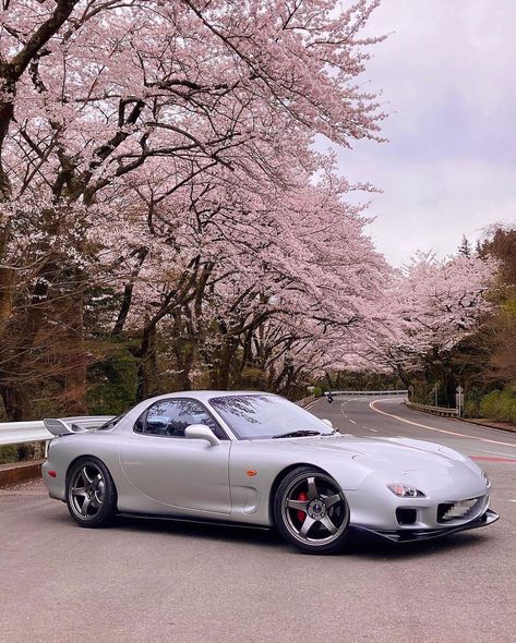 #JDM on Instagram: “Sakura szn baby 🌸 🚘 @fd3s_sea7 ••• #jdm #jdmcars #stancenation #jdmgram #jdmculture #jdmnation #jdmlife #jdmasfuck #jdmlifestyle #slammed…” Mazda Rx5, Rx7 Fd, Jdm Wallpaper, Mazda Rx 7, Best Jdm Cars, Abstract Pattern Design, Rx 7, Mazda Rx7, Mazda Miata