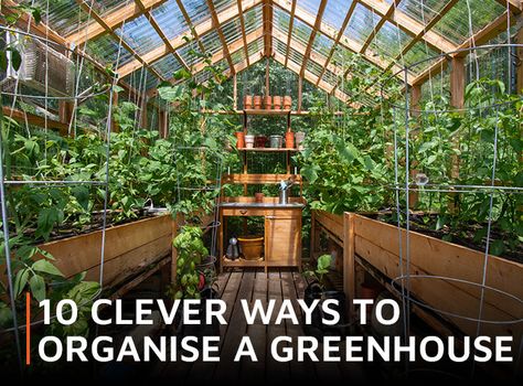 Make the most of every inch of space in your greenhouse - the more organised you are, the more productive you will be. Clever storage is vital. Here are 10 practical ideas to transform your garden greenhouse into a functional space in which it's a pleasure to spend time. Happy gardening! 1. Zoning Keep vegetables to on Greenhouse Kitchen, Greenhouse Vegetables, Garden Organization, Outdoor Greenhouse, Planting Calendar, Large Greenhouse, Polycarbonate Greenhouse, Home Greenhouse, Garden Storage Shed