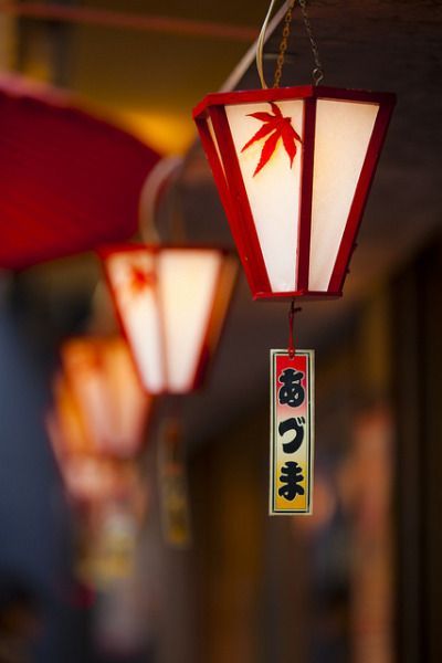 Vita Sackville West, Asakusa Tokyo, Japanese Lanterns, Japan Culture, Japanese Aesthetic, Japanese Design, Japan Fashion, Japanese Garden, Japanese Culture