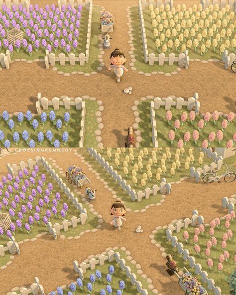 Animal Crossing Flower Garden Layout, Animal Crossing Flower Breeding Layout, Acnh Cottagecore Flowers, Acnh Normcore Ideas, Acnh Inspo Normcore, Acnh Flower Field Layout, Acnh Flower Field Ideas, Acnh Lawn Ideas, Flower Acnh