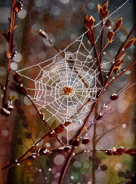 enchanted forest Foto Macro, Spider Art, Photographie Portrait Inspiration, Airbrush Art, French Knots, Water Droplets, Needle Art, Samhain, Crazy Quilts