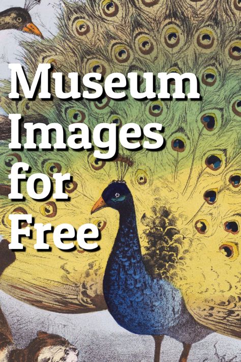 Free to use images from  museums. No copyright so they are perfect to use in your junk journals and other digital art projects. #freevintageimage #copyrightfreeimages #publicdomainimages #junkjournalephemera #junkjournalimages #howtofindfreeimages #digitalart #poppiness #printables #sublimationdesigns #sublimationclipart #printablesublimation #freesublimationdesigns #sublimationbundle #hugesublimationbundle #printableillustrations Public Domain Illustrations Vintage, Public Domain Art Illustration, Best Public Domain Art, Public Domain Abstract Art, Copyright Free Images Public Domain, Free French Printables Vintage Graphic, Diy Crafts To Sell On Etsy, Paper Airplane Tattoos, Copyright Free Images