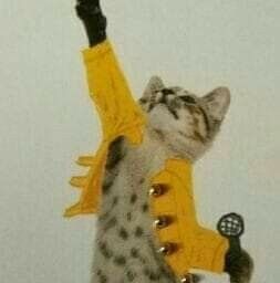 Freddie Mercury Cat, Queen Core, Freddy Mercury, Hello Darling, Sweet Lover, Queen Freddie Mercury, Queen Band, Killer Queen, Cat Dresses