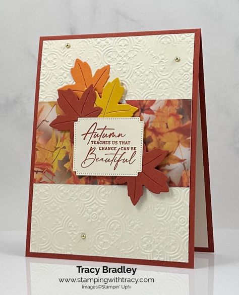 Fall Cards Handmade, Thanksgiving Cards Handmade, Stamping Projects, Gratitude Cards, Autumn Cards, Autumn Paper, Thanksgiving Card, Leaf Cards, Thanksgiving Theme