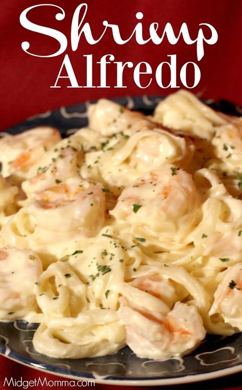 This Shrimp Alfredo is a family favorite in our house, seriously the kids ask me to make it just about every single week, they never get sick of it! This shrimp alfredo pasta is made with a copy cat Olive Garden Alfredo sauce that is amazing and tastes just like what you get when you eat at Olive Garden Olive Garden Alfredo Sauce Recipe Shrimp, Homemade Shrimp Alfredo Sauce, Shrimp In Alfredo Sauce, Olive Garden Shrimp Alfredo Recipe, Cream Of Shrimp Recipes, Olive Garden Shrimp Alfredo, Shrimp Pasta Alfredo, Recipes With Shrimp, Best Alfredo Sauce Recipe