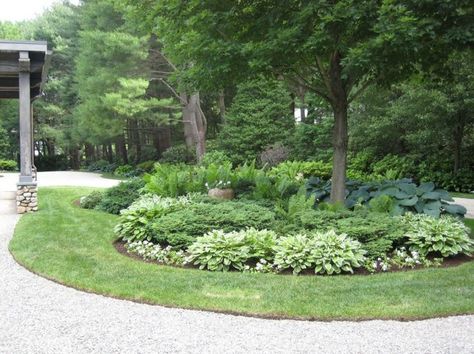 Bushes For Front Yard, Circle Driveway Landscaping, Circle Driveway, Florida Landscaping, Residential Landscaping, Driveway Landscaping, Front Landscaping, Large Garden, Have Inspiration