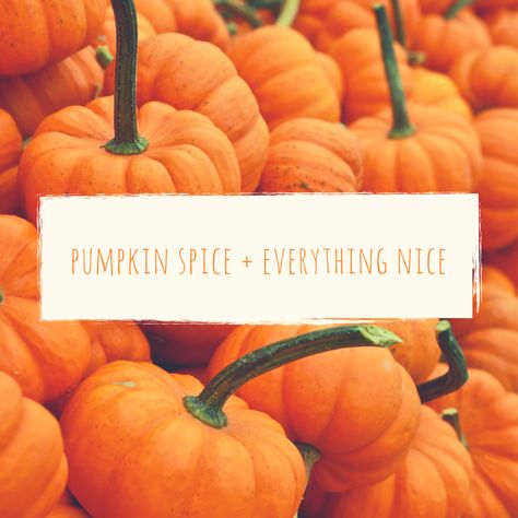 Happy National Pumpkin Day   Celebrate with these pumpkin packed recipes!  #nationalpumpkinday #pumpkins #pumpkinrecipes #HalloweenRecipes Pumpkin Facial, Wax Spa, Pumpkin Peel, Good Night Everyone, Menu Inspiration, Halloween Cookie, Diet For Beginners, Ketogenic Diet For Beginners, East Texas