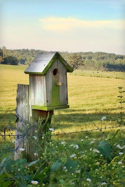 <3 Country Fences, Bird Boxes, Birdcages, Bird Baths, Farms Living, Back Road, Down On The Farm, Bird Cages, Country Charm