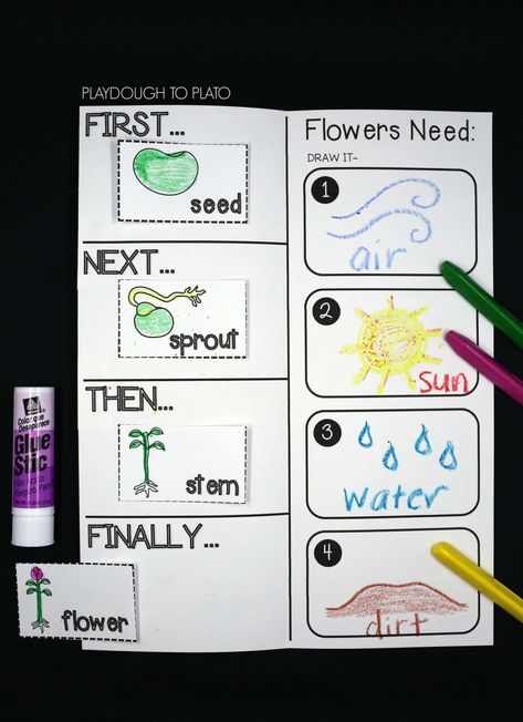 11 Plant Life Cycle Activities - Playdough To Plato Plants Lesson Plans, Plants Life Cycle Activities, Life Cycles Kindergarten, Life Cycles Preschool, Life Cycle Activities, Plants Kindergarten, Plant Lessons, Life Cycle Craft, Life Cycles Activities