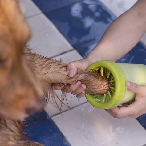 Led Closet Light, Paw Cleaner, Cleaning Gift, Muddy Paws, Free Tumbler, Pet Paws, Labradoodle, Dog Paws, Outdoor Fun