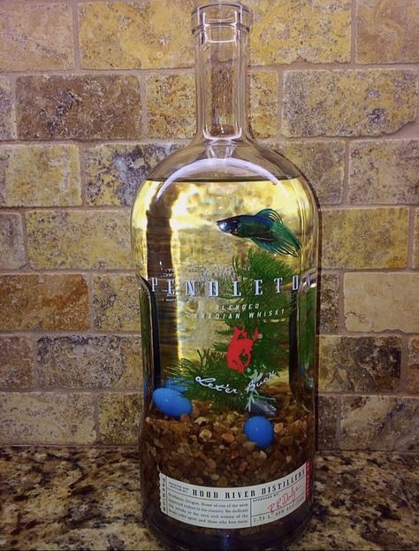 Kitchen Fish Tank, Goldfish Tank Decoration, Cute Fish Bowl Ideas, Fish Bowl Ideas Decorations, Fish Bowl Ideas, Bottle Aquarium, Recycle Bottles, Vase Fish Tank, Bedazzled Liquor Bottles