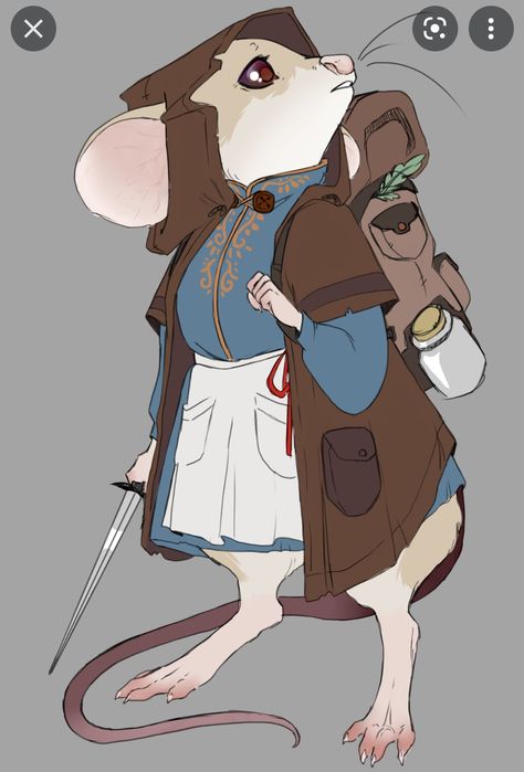 Mouse Character Design Concept Art, Plush Character Design, Animal Merchant, Ratfolk Character Art, Mouse Anthro, Robin Character Design, Ratfolk Dnd, Mouse Adventurer, Mouse Fursona