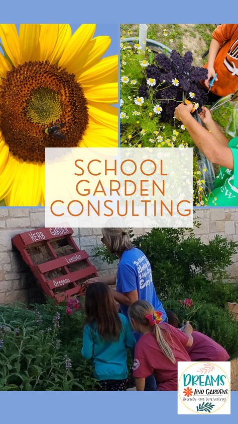 Teaching Garden, School Garden Club, School Gardens, Gardening Crafts, 3rd Grade Teacher, Diy Science Experiments, Kids Garden, Lavender Garden, Diy Science