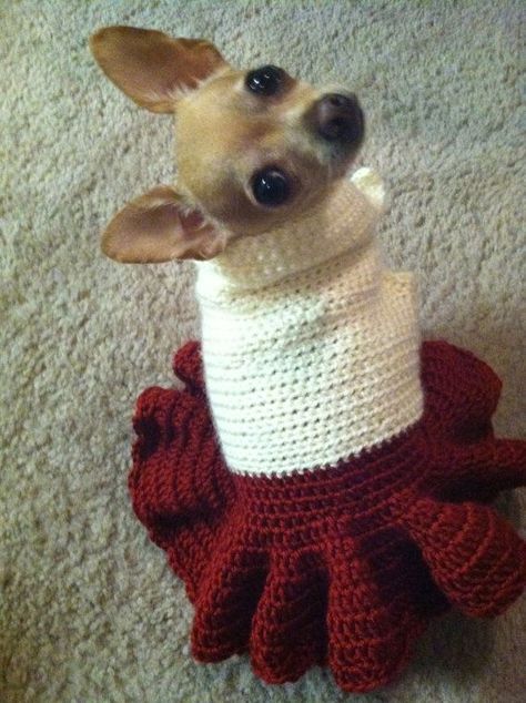 Crochet Dog Dress, Dogs Sweater, Crochet Dogs, Crochet Dog Clothes, Crochet Puppy, Crochet Pet, Dog Sweater Crochet Pattern, Dog Sweater Pattern, Crochet Dog Patterns