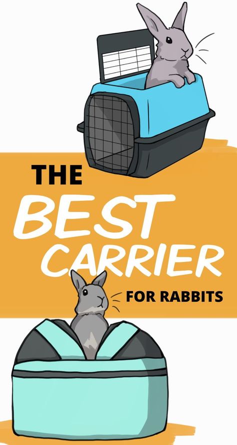 Bunny Carrier, Rabbit Things, Bunny Tips, Rabbit Carrier, Bunny Homes, Rabbit Health, Rabbit Facts, Angora Bunny, Pet Rabbits