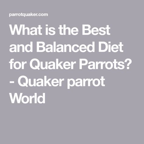 Quaker Parrot Food, Parrot Diet, Quaker Parrot, Talking Parrots, Protein Rich Foods, All Fruits, Bee Pollen, Health Management, Fruit Seeds