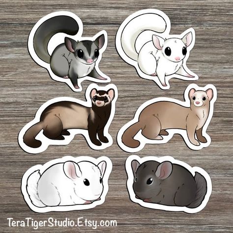 Small Mammals STICKER pack: Chinchilla Sticker, Ferret Sticker, Sugar Glider Sticker, Gift for anima Ferret Sticker, Photography Sisters, Small Mammals, Cute Ferrets, Sugar Gliders, Pet Food Storage, Pet Allergies, Animal Doodles, Animal Education