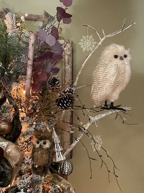 Owl Theme Christmas Tree, Owl Tree Topper, Owl Christmas Tree, Winter Owl, Owl Tree, Owl Theme, Themed Christmas, Christmas Owls, Christmas Tree Themes