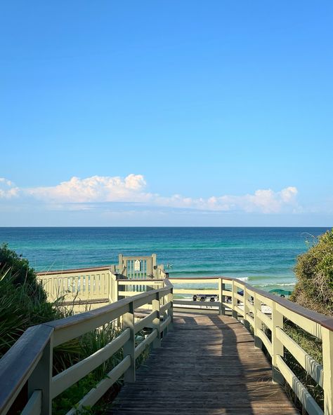 morning walk finds in rosemary beach🌞 Rosemary Beach Florida Aesthetic, Beach Florida Aesthetic, Florida Aesthetic, Rosemary Beach Florida, Salt Air, Rosemary Beach, Morning Walk, Summer 3, 8th Grade