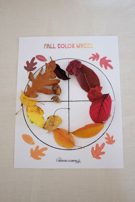 fall color wheel scavenger hunt Autumn Colors Activities, Fall Color Wheel, Color Wheel Activities, Wreath Crafts For Kids, Wheel Crafts, Leaves Printable, Fall Preschool Activities, Fall Art Projects, Autumn Activities For Kids