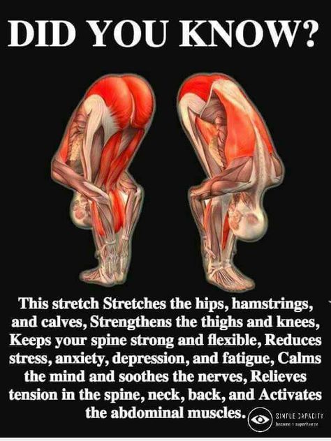 The wonder stretch..does it all apparently Morning Exercises, Cat Cow, Physical Training, Yoga Workouts, Yoga Exercises, Easy Yoga Workouts, Stretching Exercises, Easy Yoga, Yoga Postures