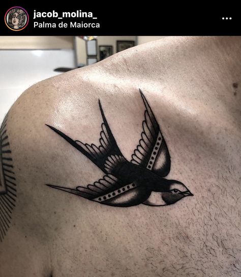 Bird Tattoo Traditional Black, Golondrinas Tattoo, Tattoo Learning, Traditional Swallow Tattoo, Swallow Tattoo Design, Vintage Tattoo Art, Vogel Tattoo, Traditional Tattoo Designs, Sparrow Tattoo