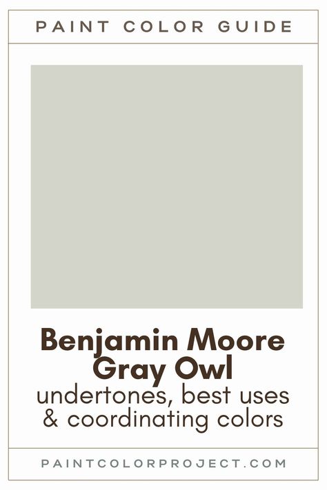 Gray Wisp Benjamin Moore Living Room, Benjamin Moore Gray Owl Living Room, Benjamin Moore Gray Owl Cabinets, Gray Owl Complimentary Colors, Gray Owl Color Palette, Bm Gray Owl Coordinating Colors, Grey Owl Coordinating Colors, Gray Owl Benjamin Moore Bedroom, Benjamin Moore Gray Owl Bathroom