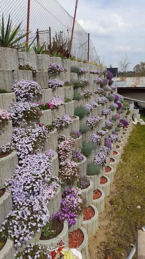 Vertical Rock Garden, Dirt Locker, Flowers Front Yard, Sound Barrier Wall, Vertical Garden Recycled Materials, Front Yard Landscaping Flowers, Front Yard Landscaping Design Layout, Landscaping Florida, Wall Planters Outdoor