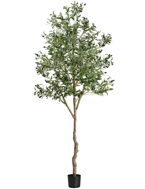 PRICES MAY VARY. Realistic Looking: Our artificial olive tree features a natural wood trunk, silk leaves, and fruits that give it a lifelike appearance with realistic textures and colors. The clearly textured leaves and vivid colors create a timeless seasonal home decor piece that brings the beauty of nature indoors. Home Decor Indoor: The olive tree symbolizes peace, hope, and luck, making it a great addition to any room in your home. Whether placed in the living room, bedroom, dining room, off Olive Tree Pot Indoor, Tree In Living Room, Olive Tree Fake Plant, Large Artificial Olive Trees, Large Fake Olive Tree, Nearly Natural Olive Tree, 8’ Fake Trees, Potted Olive Tree, Faux Olive Tree