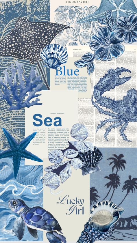 #blue #ocean #beach Ocean Beach, Blue Ocean, Connect With People, Your Aesthetic, Creative Energy, Energy, Collage, Blue