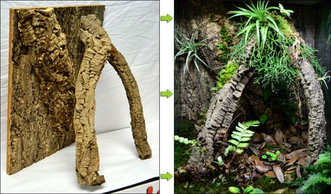 NEHERP - How To Build A Heavy Duty Vivarium Background Diy Vivarium Background, Terrarium Background, Crested Gecko Vivarium, Dart Frog Vivarium, Gecko Vivarium, Terrariums Diy, Bioactive Vivarium, Gecko Habitat, Frog Tank