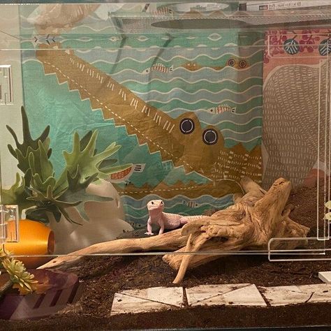 Diy Gecko Decor, Diy Crested Gecko Decor, Gold Dust Day Gecko, Gex Enter The Gecko, Western Banded Gecko, Reptile Cage, White Leopard, Leopard Gecko, Gecko