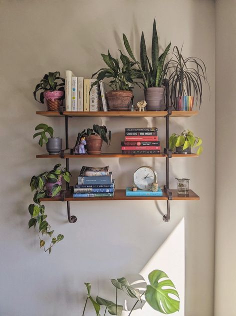 Home decor, shadow play, industrial, urban jungle, rustic, mid century modern Wall Shelf Ideas Books, Small Shelf Aesthetic, Book Shelf Decor Wall Shelves, Floating Shelves Eclectic, Floating Shelves Alternative, Book Shelf Interior Design, Plant Book Shelves, Floating Shelves With Books And Plants, Plant And Book Wall