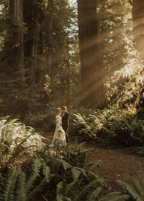 Moody Forest Elopement, Woods Elopement Ceremony, Red Woods Elopement, Redwood Forest Wedding Elopements, Redwoods Wedding Photos, Lesbian Forest Elopement, Redwoods Couples Shoot, Redwood National Park Elopement, Earthy Elopement