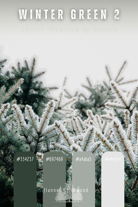 Winter Green Color Palette, Winter Forest Color Palette, Green Color Palette, Winter Green, Nature Color Palette, Green Colour Palette, Color Palettes, Color Combos, Natural Color